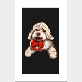 Cute white Cavapoo Cavoodle puppy dog with red bow  - cavalier king charles spaniel poodle, puppy love Posters and Art